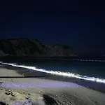 Mad Sea 3*